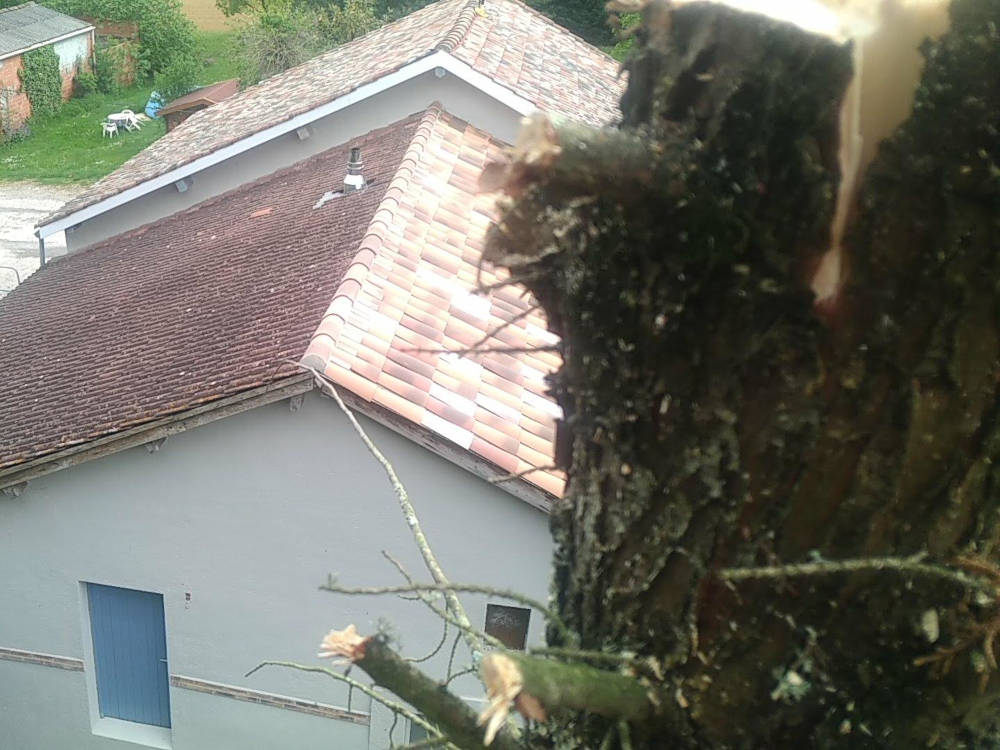 abattage arbre menaçant une maison