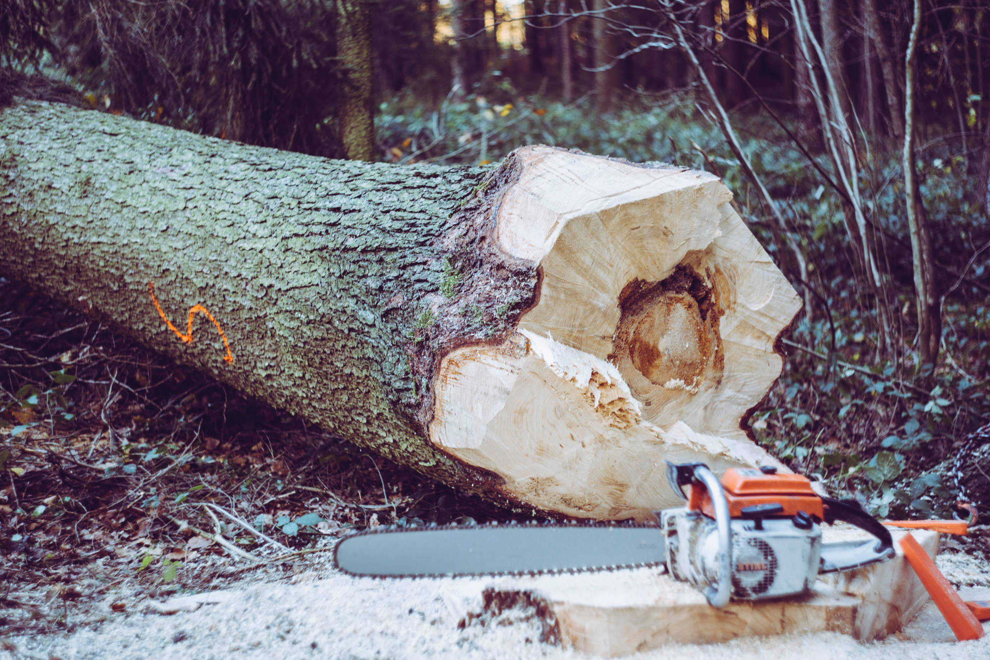 entreprise abattage arbre gers