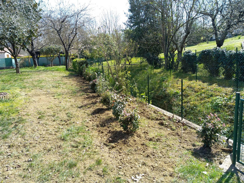 plantation haie gers