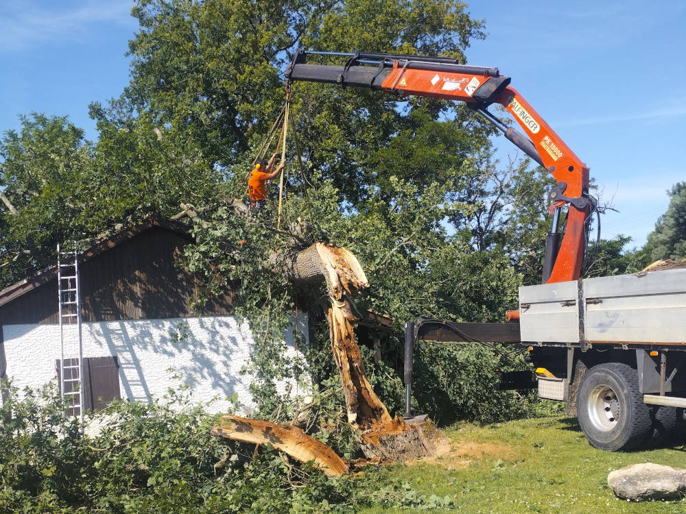 Elagage d'arbres après la tempête à Eauze.
