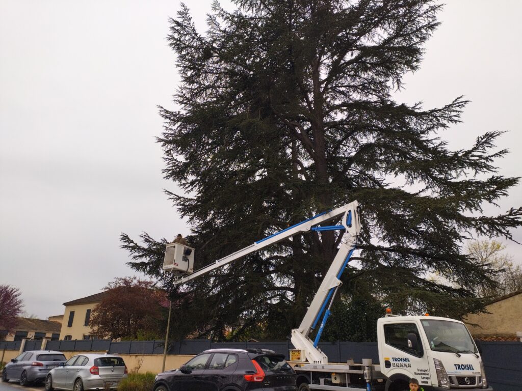 Nacelle en action pour l'élagage d'un cèdre à Fleurance.