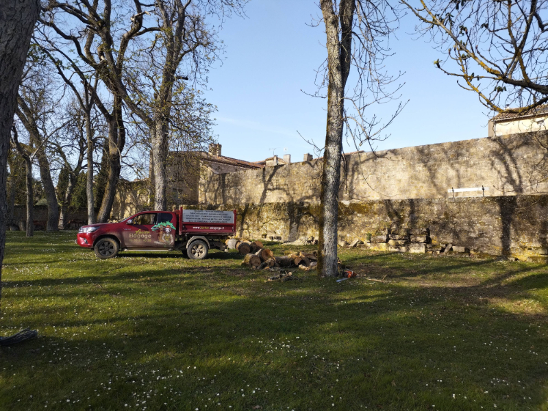 Elagage et abattage d'arbres au Château de Terraube.