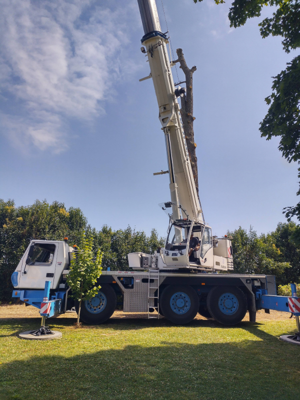 Nacelle déployée pour l'élagage d'un arbre à Terraube.