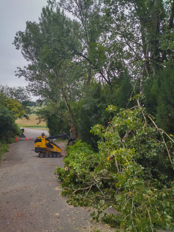 Elagage d'arbres endommagés après une tempête à Lectoure.