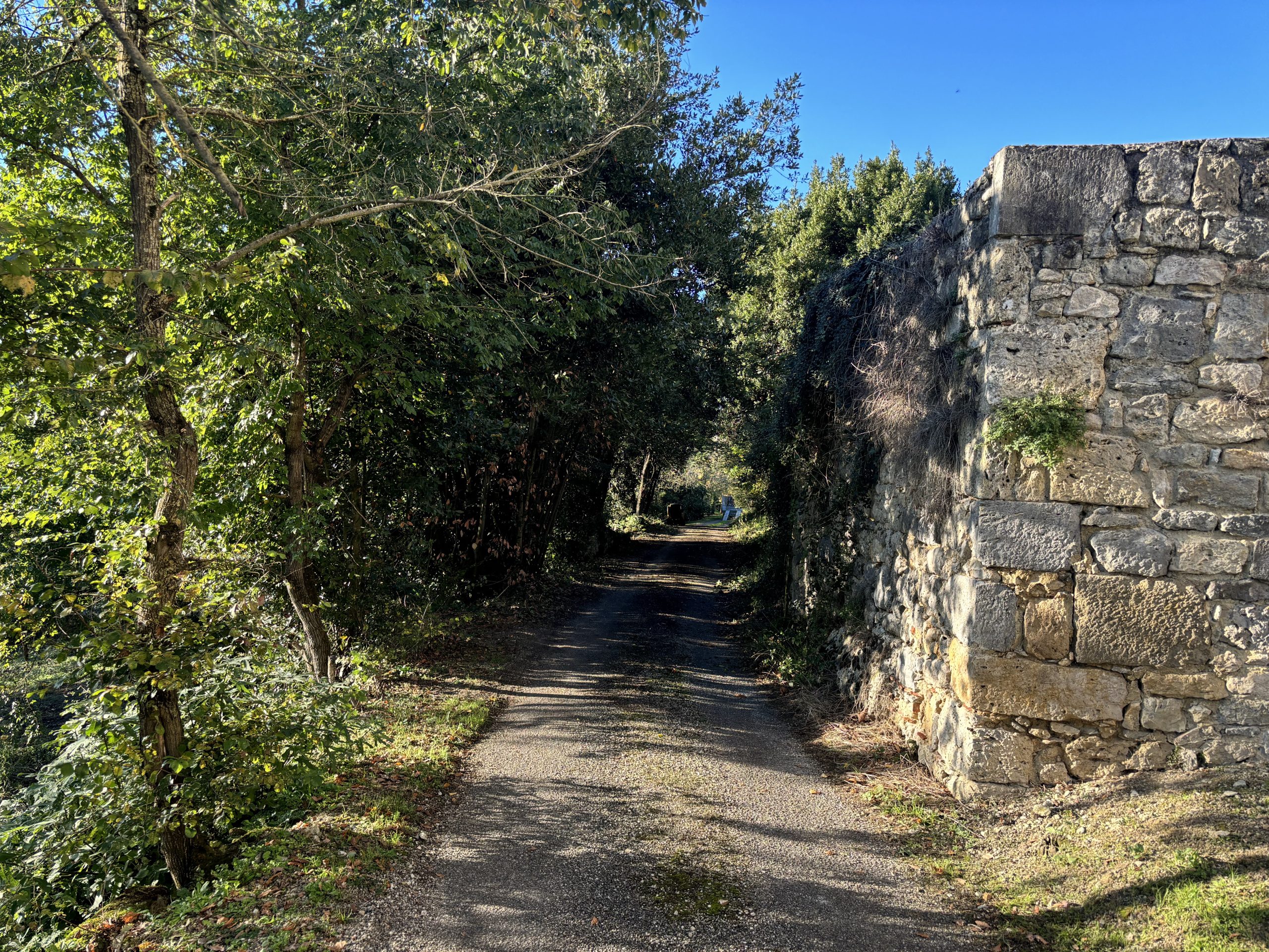 nettoyage-chateau-larroqueengalin2