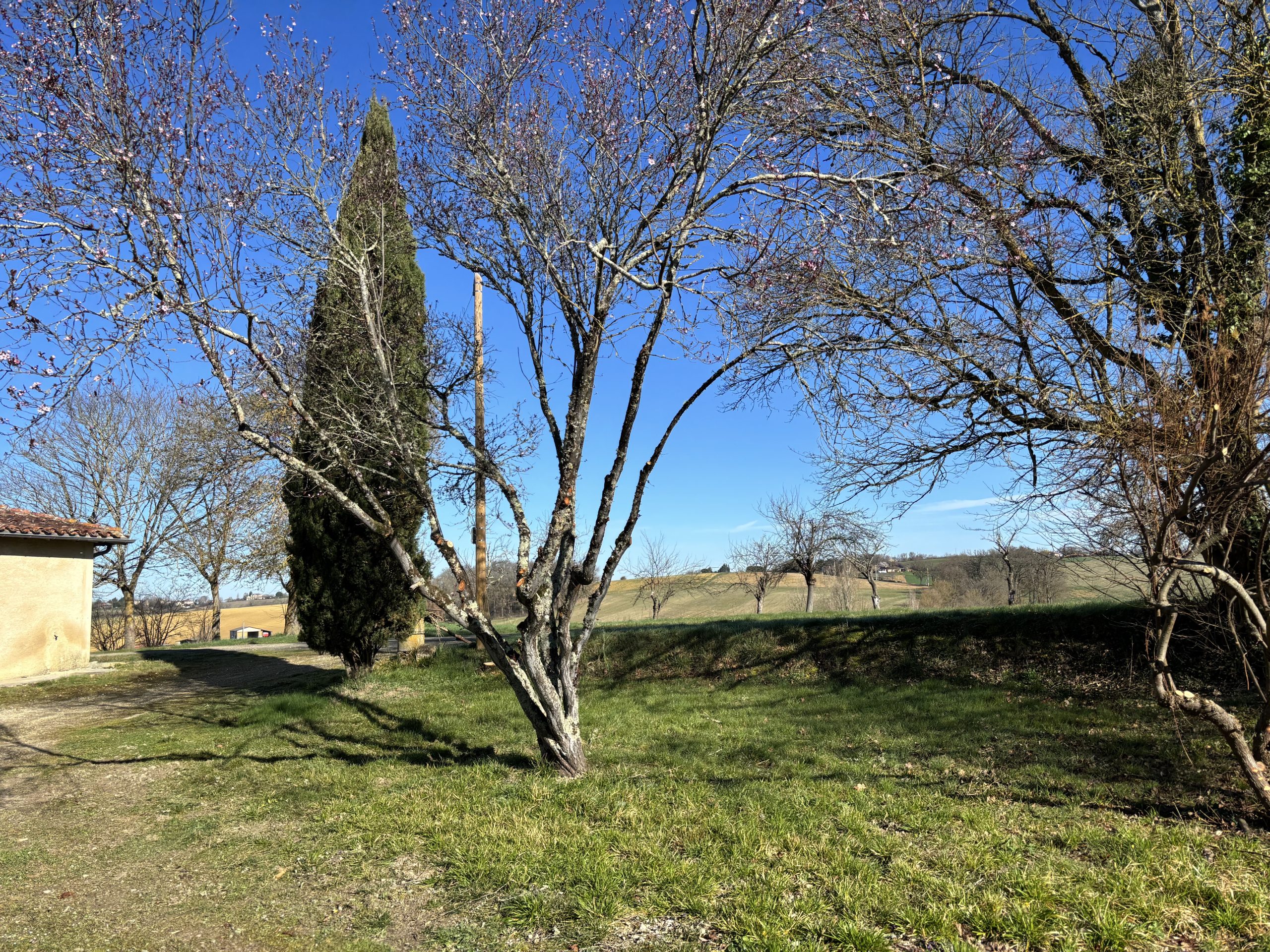 nettoyage-parc-nougaroulet3