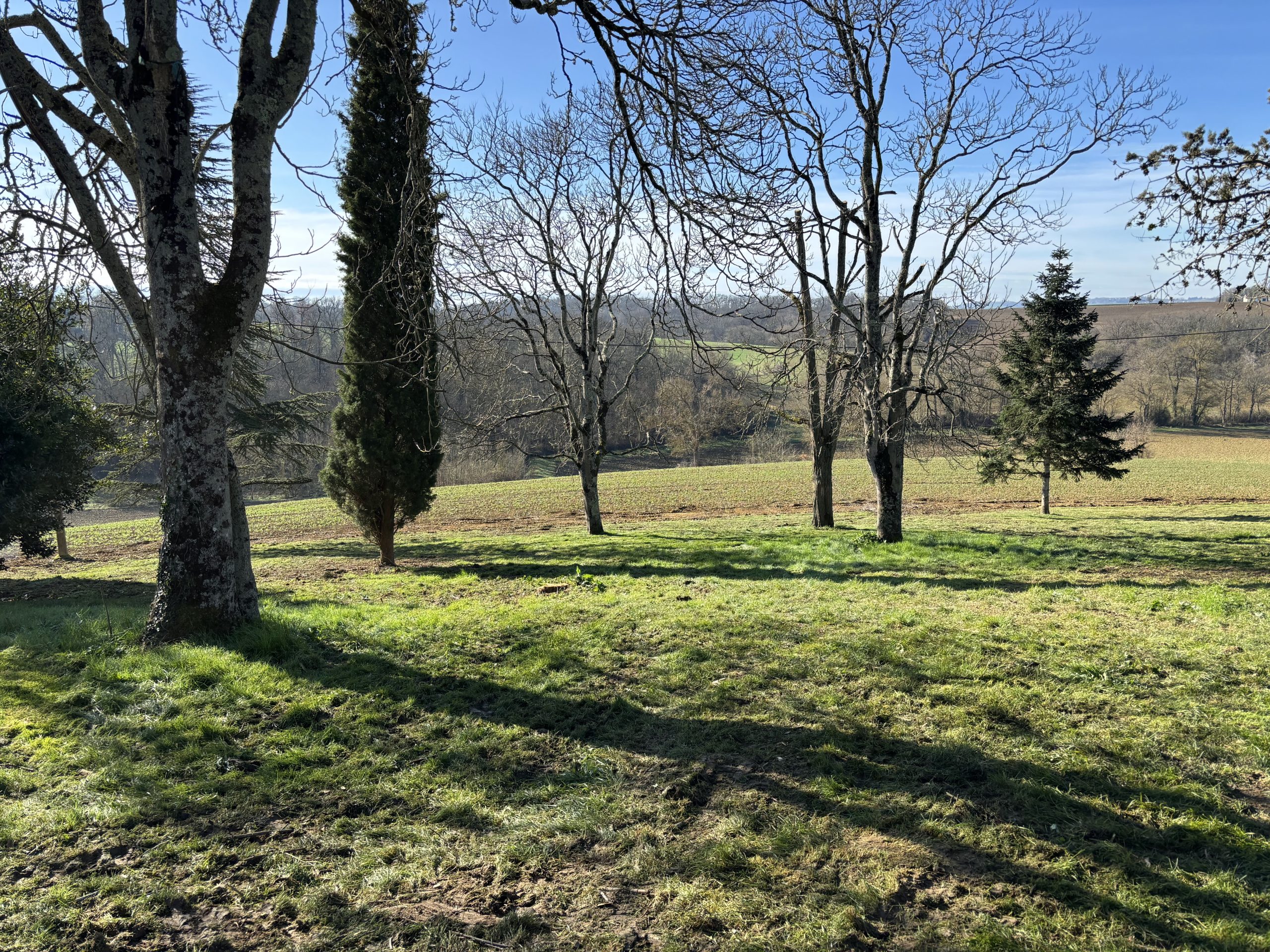 nettoyage-parc-nougaroulet5
