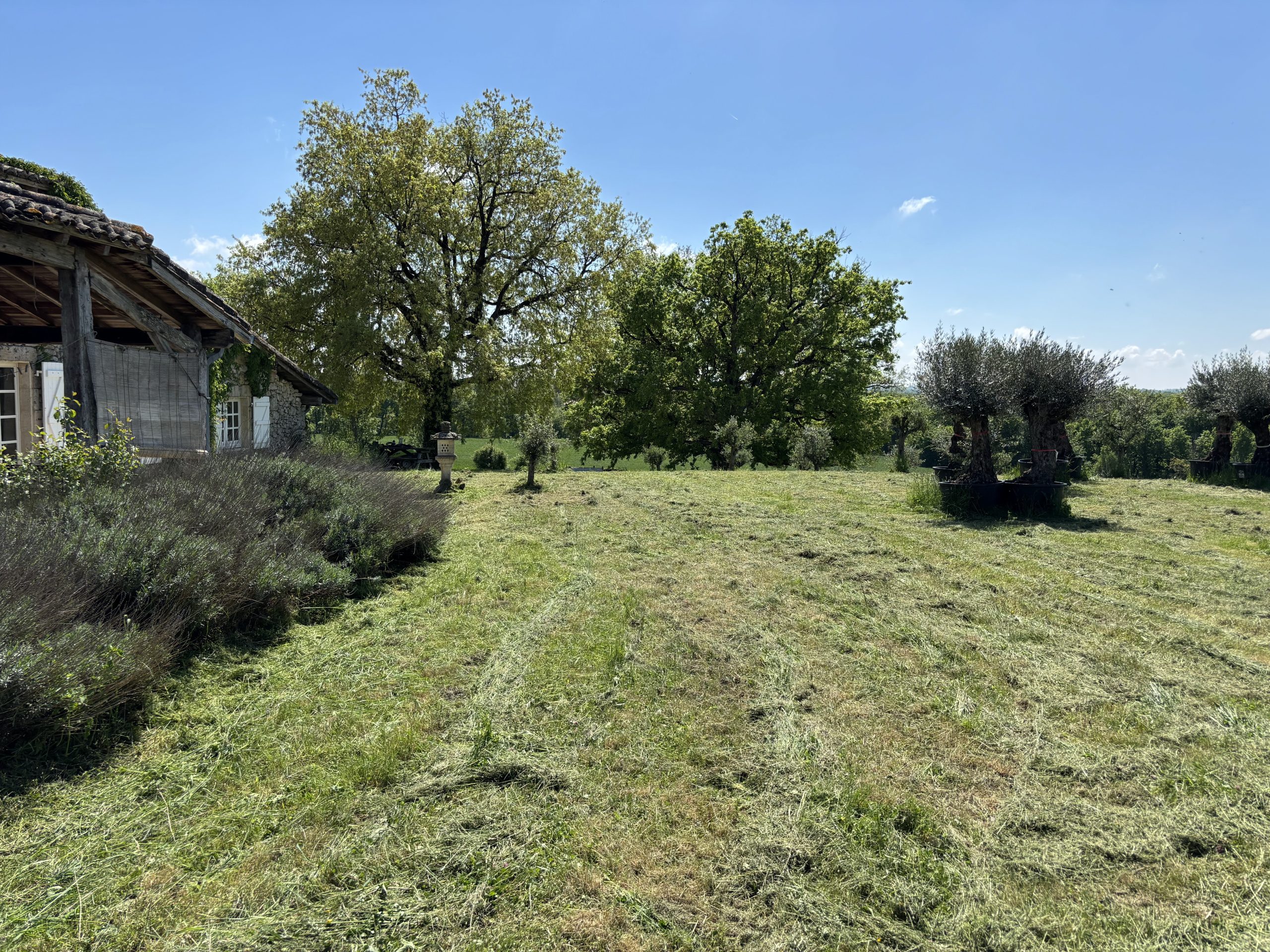 parc-piscine-mauroux17
