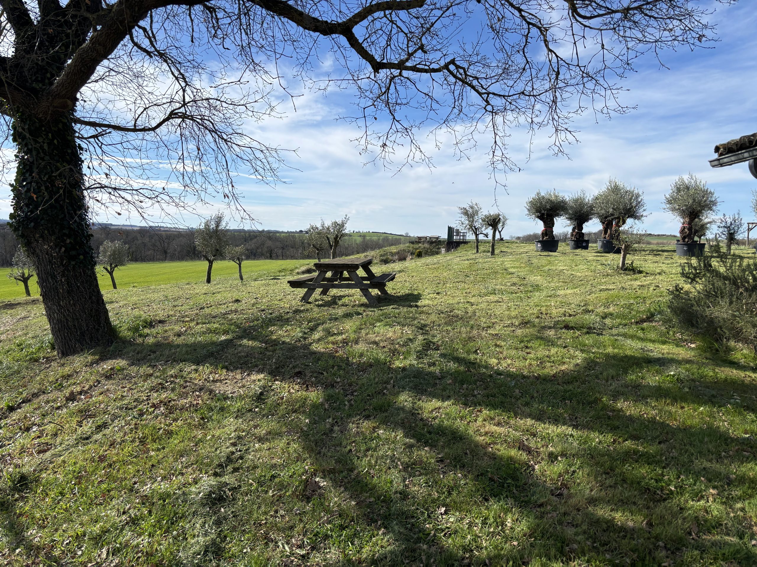 parc-piscine-mauroux7