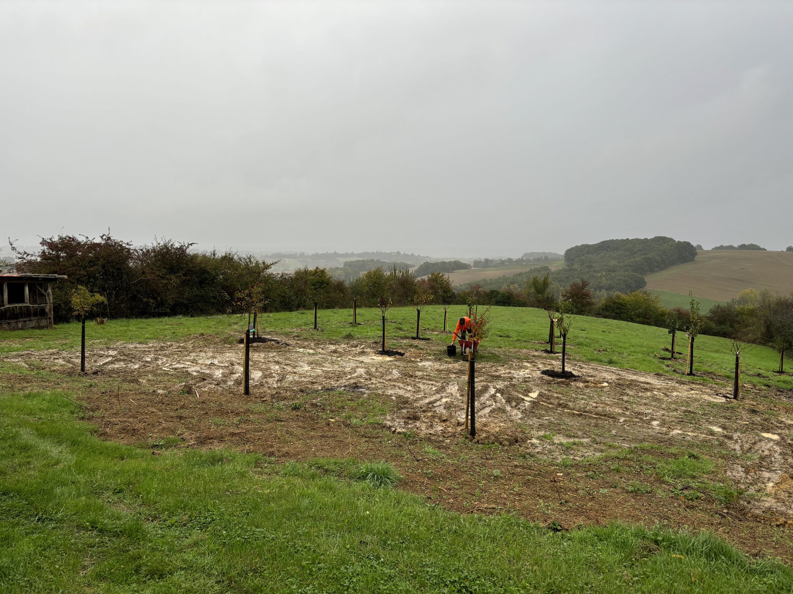 plantation-fruitier-terraube