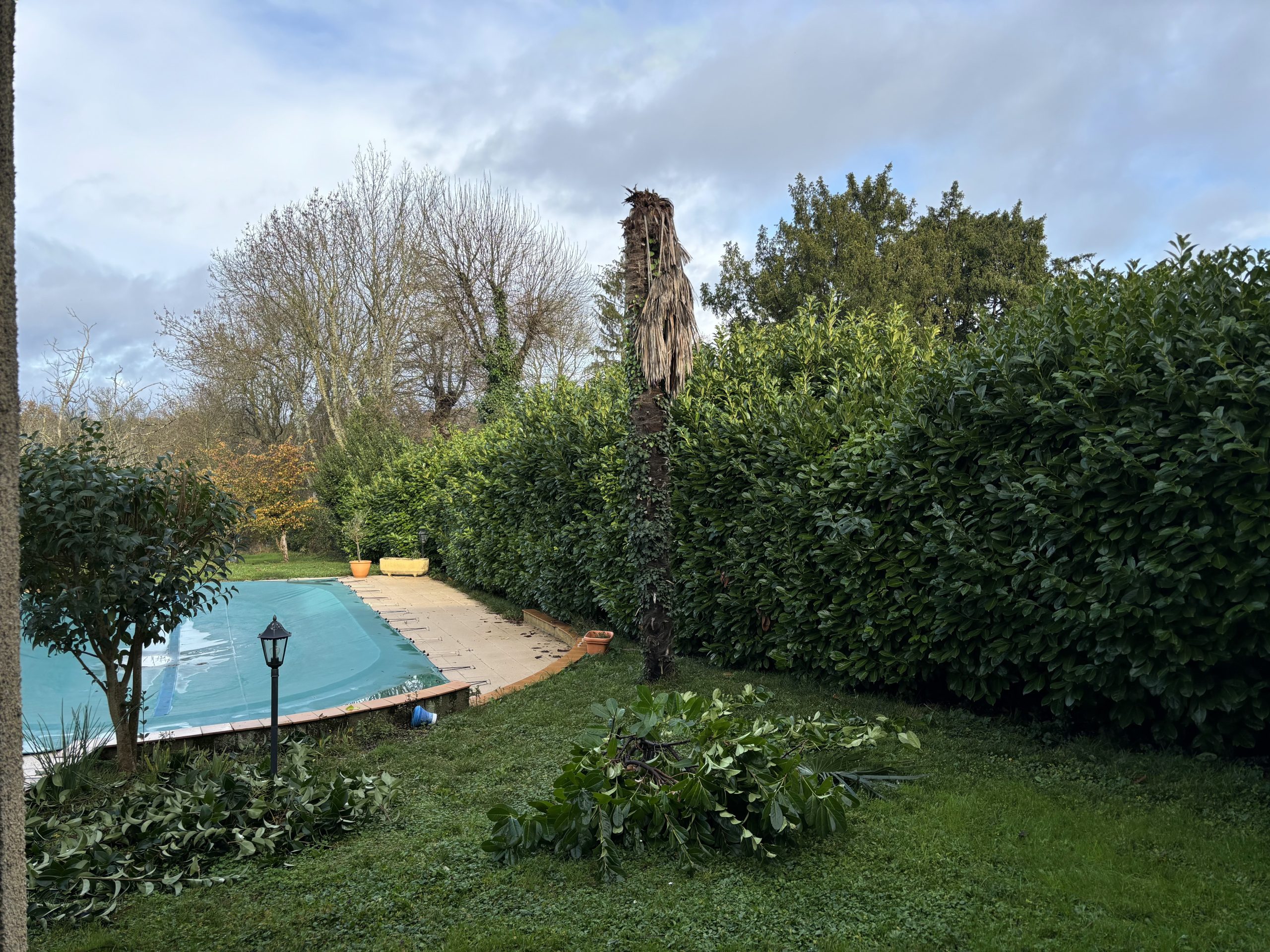 taille-haie-lectoure1