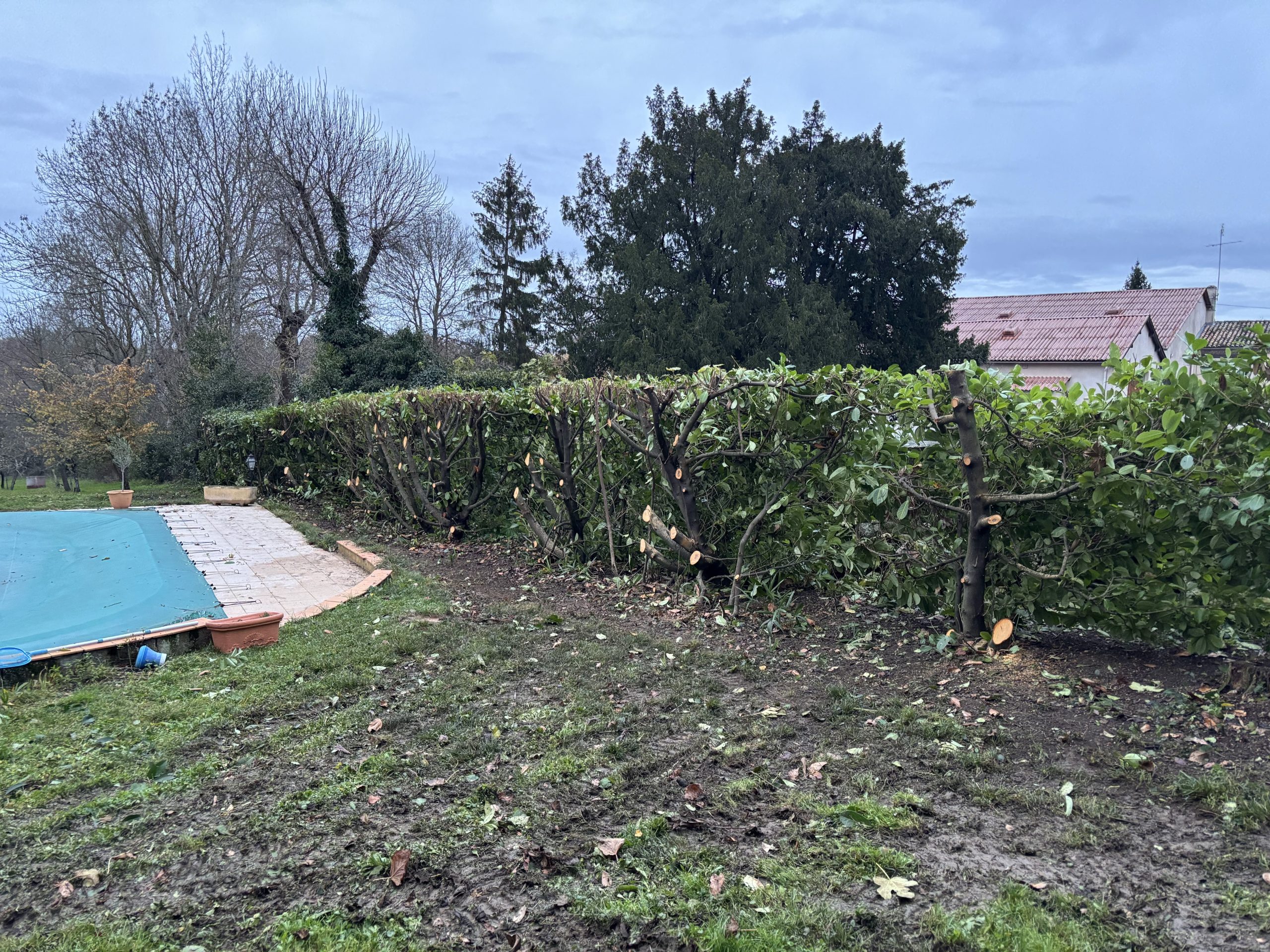 taille-haie-lectoure6