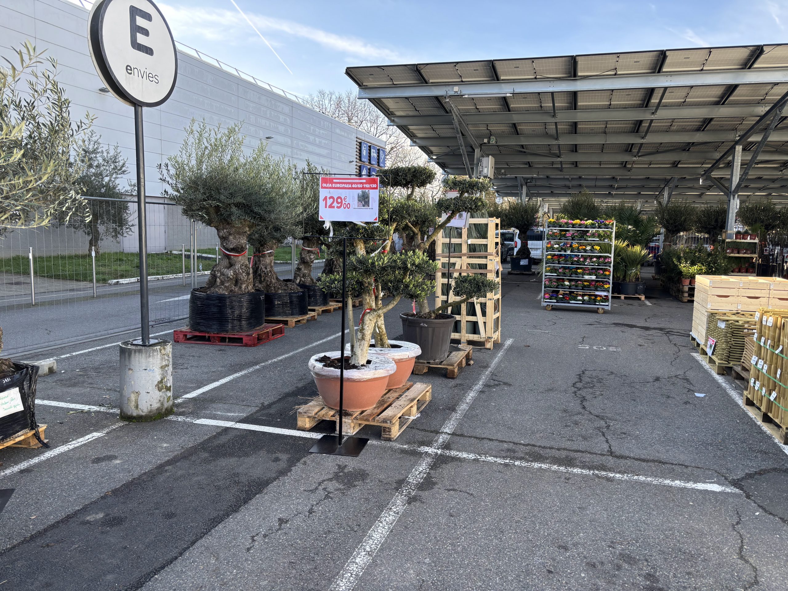 vente-gers-plante3