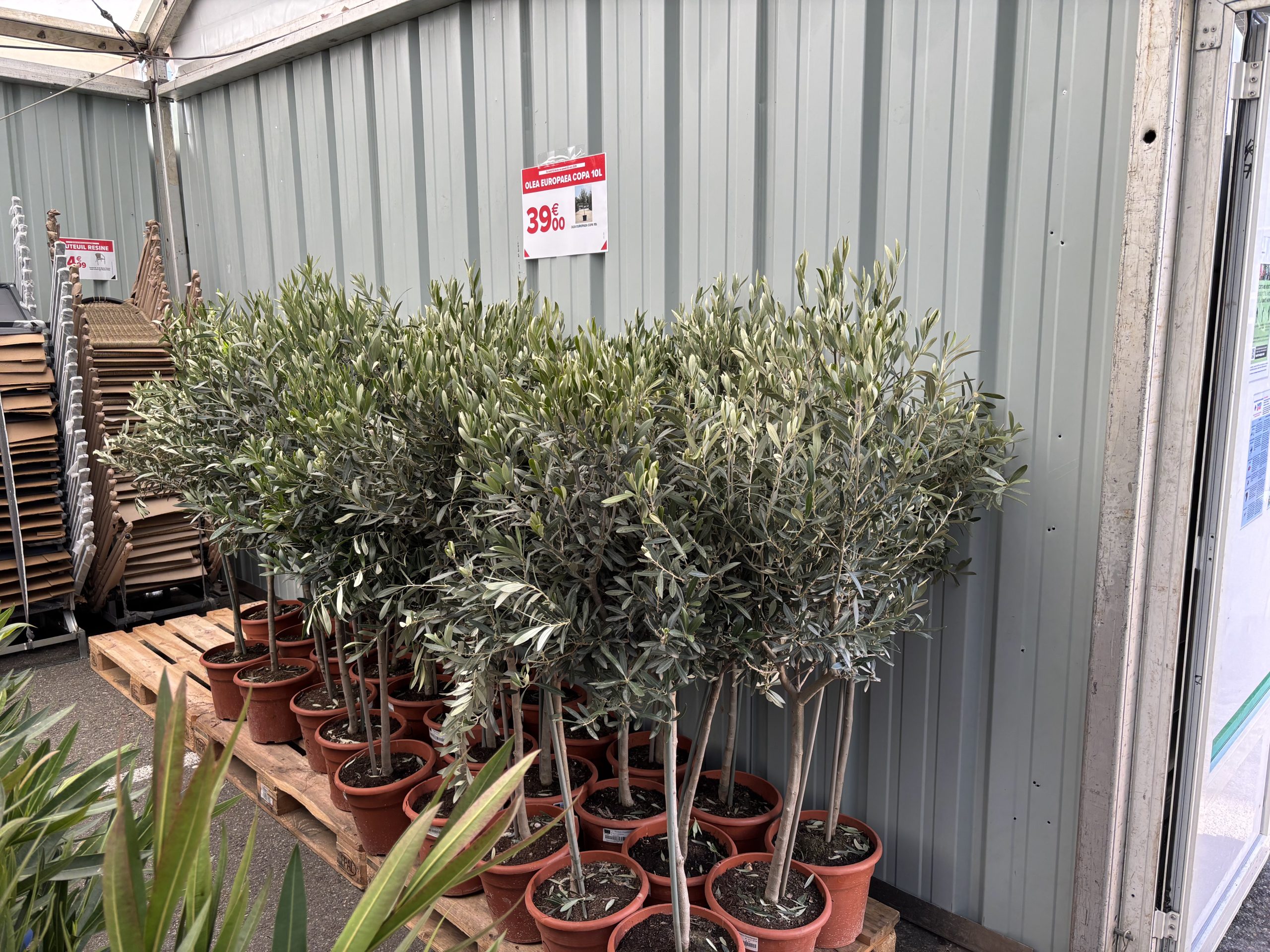 vente-plante-gers