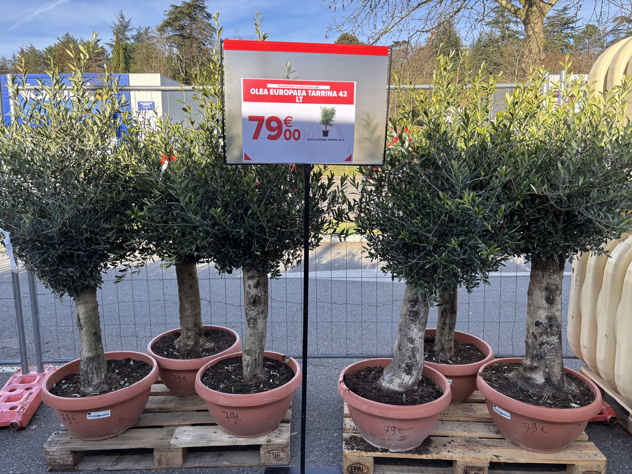 vente-plante-gers2