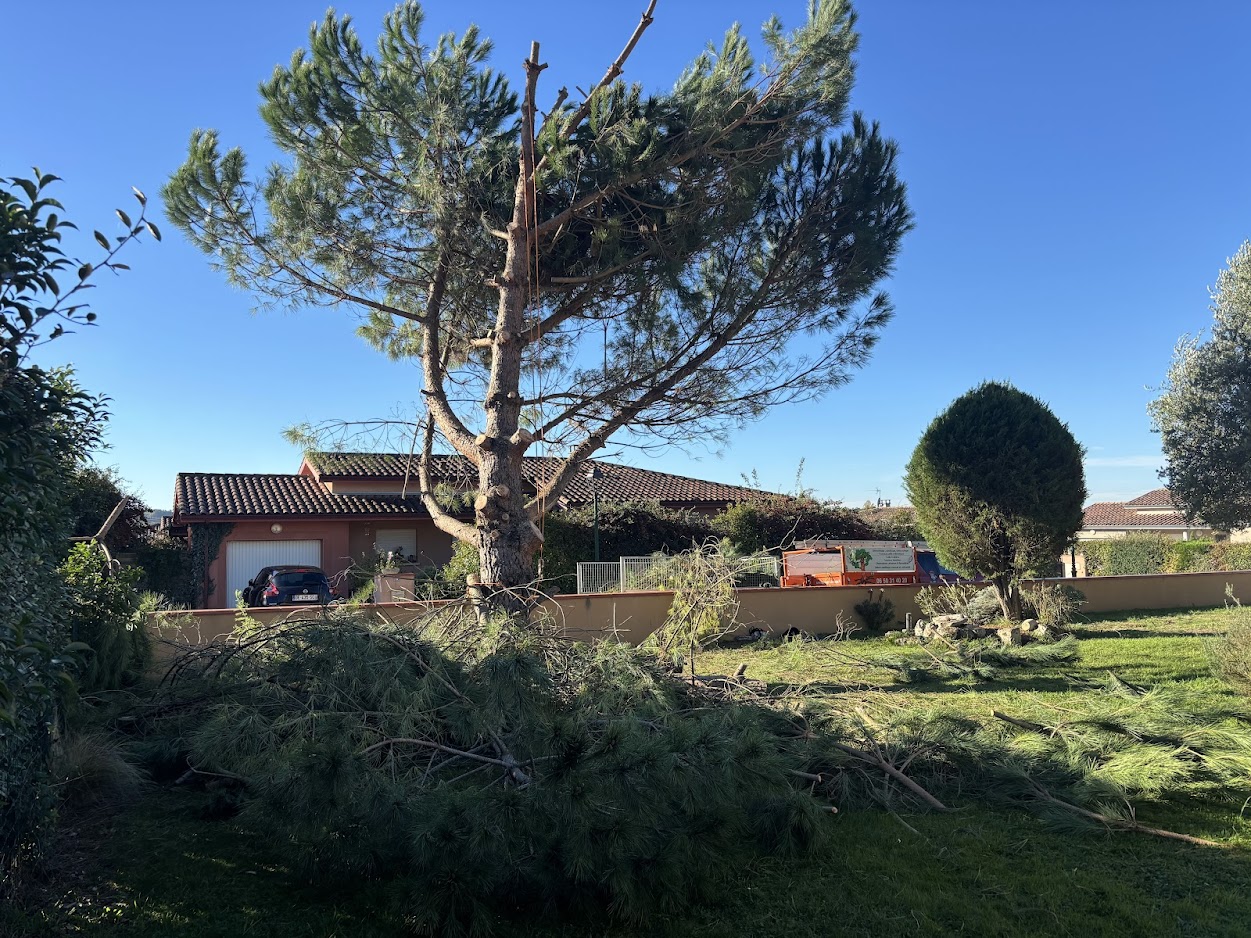 elagage-apres-tempete-lectoure-1