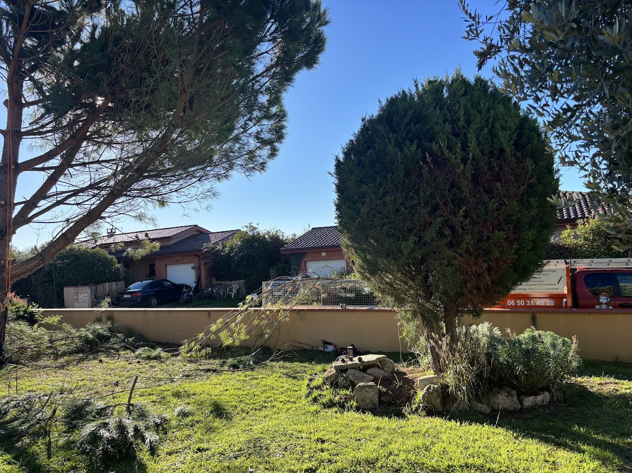 elagage-apres-tempete-lectoure-2