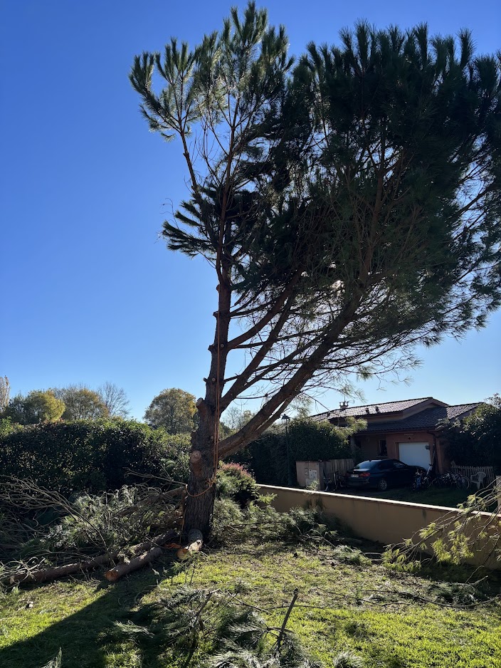 elagage-apres-tempete-lectoure-3